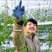 Cultivera Cultivera LLC